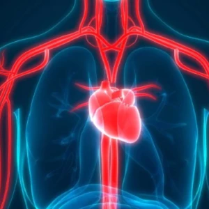 Stent mi, Bypass mı? makalesi