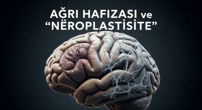 Ağrı hafızası  ve "nöroplastisite"