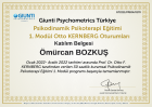 Otto Kernberg, Psikodinamik Psikoterapi Sertifikası