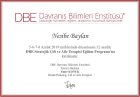 DBE- Stratejik Çift ve Aile Terapisi
