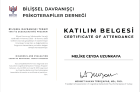 HAKAN TÜRKÇAPAR BİLİŞSEL DAVRANIŞÇI TERAPİ TANI VE DEĞERLENDİRME PROGRAMI