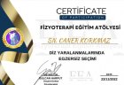 DİZ YARALANMALARI