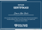 PANDEMİDE ÖĞRENCİ OLSAM