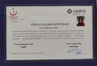 Sertifika