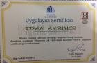 MMPI UYGULAYICISI