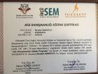 Aile danışmanlığı