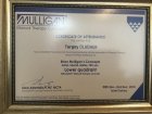 Mulligan Manuel Terapi