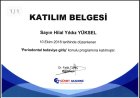 Hilal Yıldız Yüksel