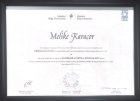 Lisans Diploması