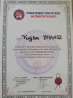 stf3