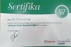 Anterior direk kompozit eğitimi