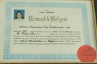Uzmanlık Belgesi