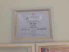 Lisans Diploması