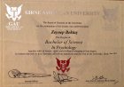 Lisans Diploması