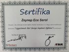 Uygulamalı İleri Seviye İmplant Eğitimi