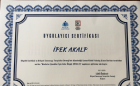 İ