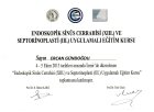 Esc+septorinoplasti