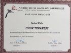Oyun terapisi