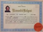 Uzmanlık Belgesi