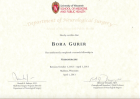 University of Wisconsin, USA - Research Fellow