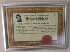 Uzmanlık Belgesi