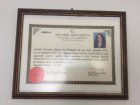 Tıp Doktoru Diploması