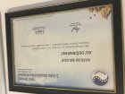 Uyku Bozuklukları Kongresi
