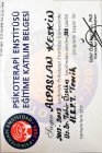 BÜTÜNCÜL PSİKOTERAPİ TEORİK