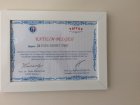 Katılım Belgesi