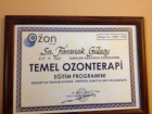 Temel Ozonterapi