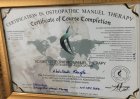 Manuel Terapi