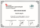13. Ulusal Endoskopik Laparoskopik Cerrahi Kongresi