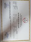 İşaret Dili