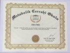 Metabolik cerrahi okulu sertifikası