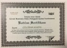 Çocuk Resminin İncelenmesi