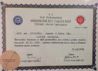 Yüksek Lisans Diploması