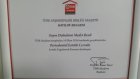 Periodontal estetik cerrahi