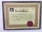 Uzmanlık Belgesi