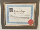 Psikiyatri Uzmanlığı (İstanbul Üniversitesi)