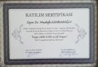 Evlilik ve Çift Terapisi Eğitimi Katılım Belgesi