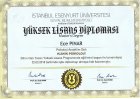 Yuksek lisans 2