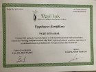 Frostig Gelişimsel Görsel Algı Testi