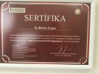A'dan Z'ye Dermokozmetik Uygulamalar II