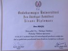 Lisans Diploması