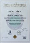 Oyun Terapisi