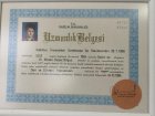 Uzmanlık Belgesi