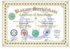 Bireysel Koçluk Sertifikası