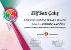 Sertifika
