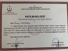 Riskli gebelik
