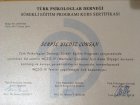 Wechsler Çocuklar için Zeka Ölçeği IV (WISC-IV) Eğitimi